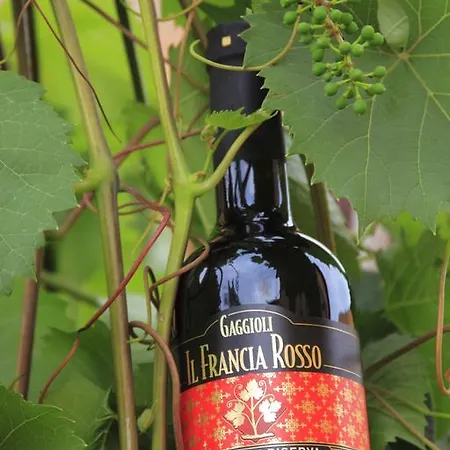 Farma Gaggioli Borgo Delle Vigne