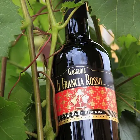 Gaggioli Borgo Delle Vigne Agroturismo