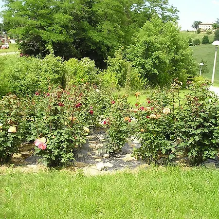 Gaggioli Borgo Delle Vigne Farm stay *