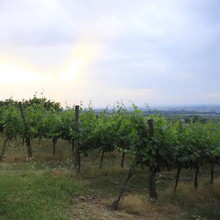 Gaggioli Borgo Delle Vigne