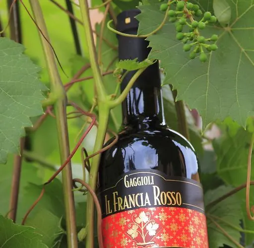 Alloggio per agriturismo Gaggioli Borgo Delle Vigne