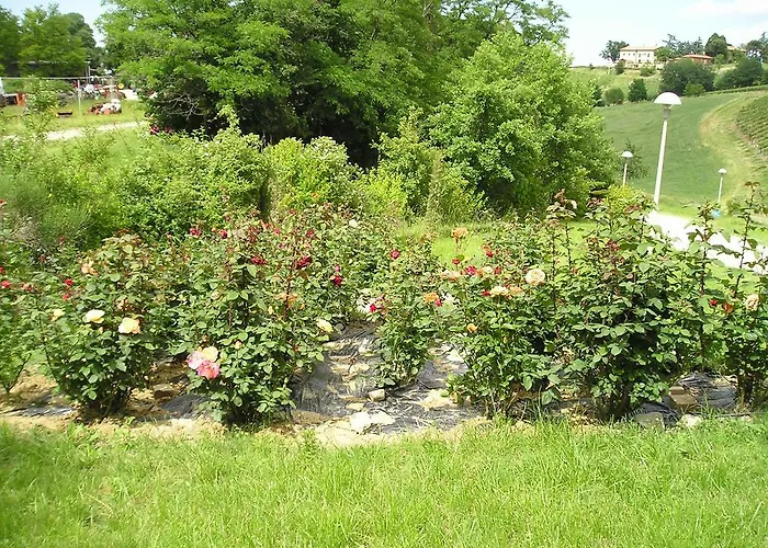 Gaggioli Borgo Delle Vigne Alloggio per agriturismo *