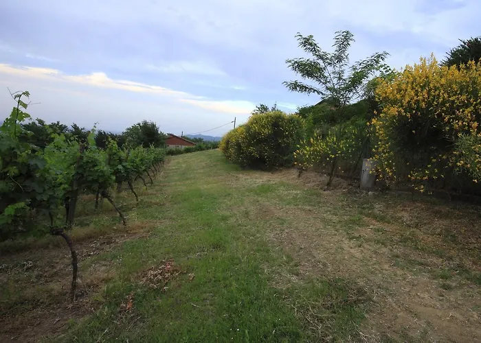 Gaggioli Borgo Delle Vigne Alloggio per agriturismo Zola Predosa