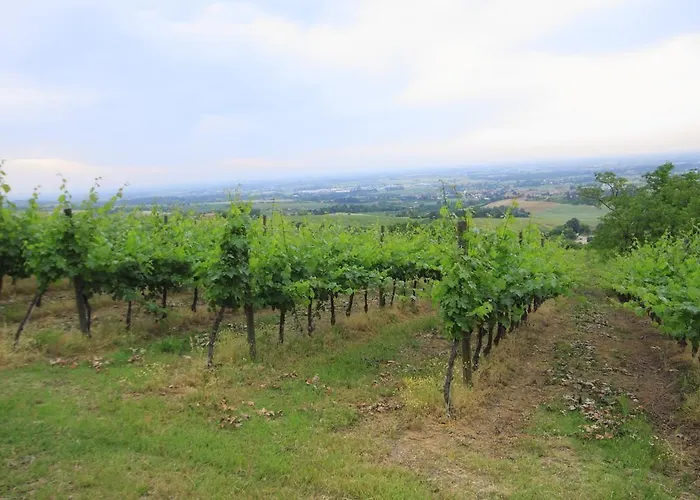Gaggioli Borgo Delle Vigne Alloggio per agriturismo Zola Predosa