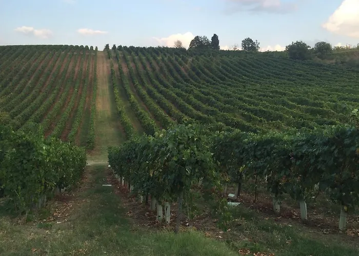 Gaggioli Borgo Delle Vigne * Zola Predosa