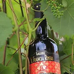 Feriegård Gaggioli Borgo Delle Vigne
