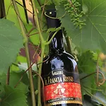 Gaggioli Borgo Delle Vigne * Zola Predosa