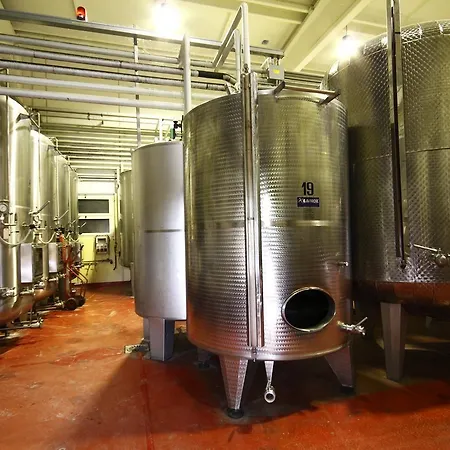 Gospodarstwo agroturystyczne Gaggioli Borgo Delle Vigne