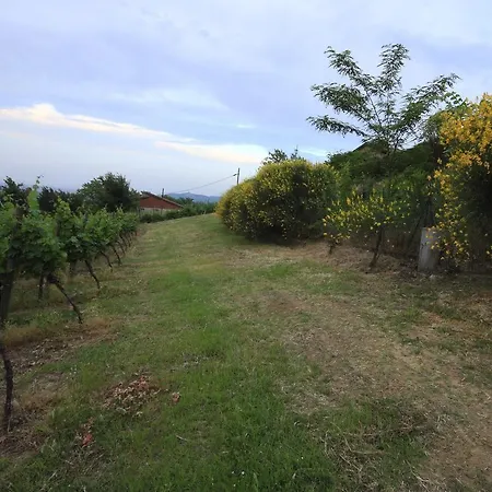 Gaggioli Borgo Delle Vigne Gospodarstwo agroturystyczne Zola Predosa