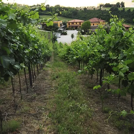 Gospodarstwo agroturystyczne Gaggioli Borgo Delle Vigne
