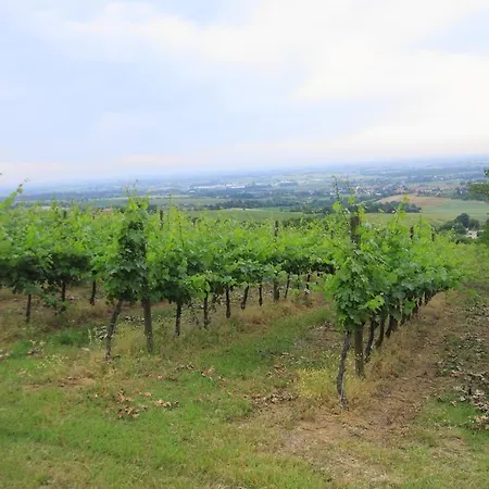 Gaggioli Borgo Delle Vigne Gospodarstwo agroturystyczne Zola Predosa