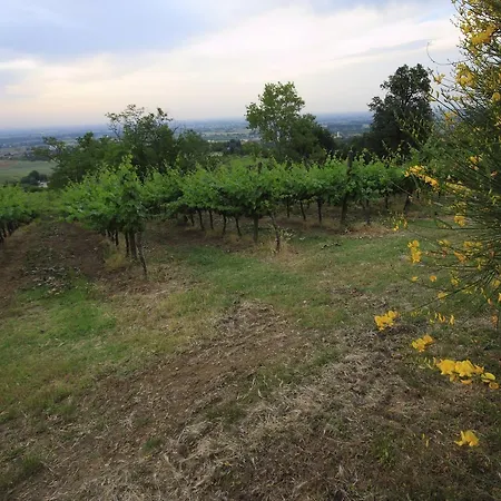 Gospodarstwo agroturystyczne Gaggioli Borgo Delle Vigne Zola Predosa
