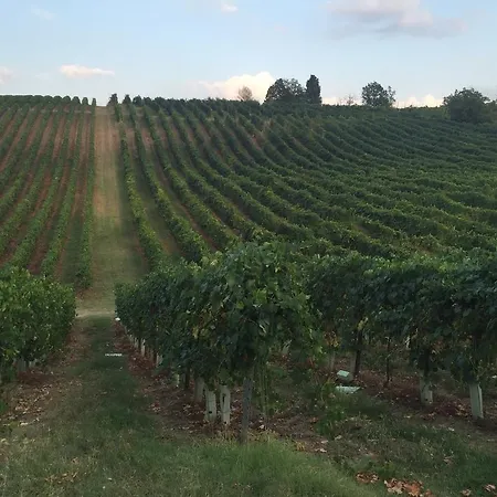 Gaggioli Borgo Delle Vigne * Zola Predosa