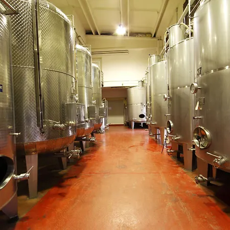 Gaggioli Borgo Delle Vigne Çiftlik konaklama