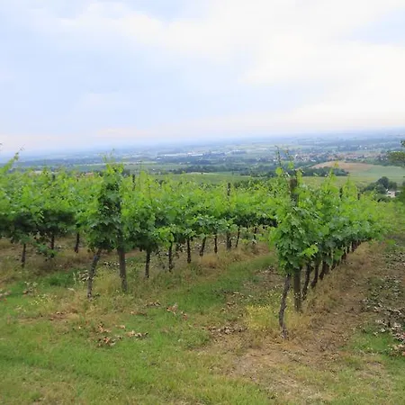 Gaggioli Borgo Delle Vigne *