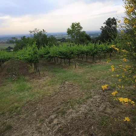 Gaggioli Borgo Delle Vigne Farm stay Zola Predosa