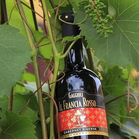 Gaggioli Borgo Delle Vigne * Zola Predosa