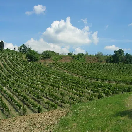 Alojamento de Turismo Rural Gaggioli Borgo Delle Vigne *
