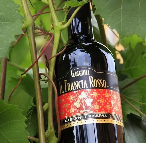 Gaggioli Borgo Delle Vigne Farma