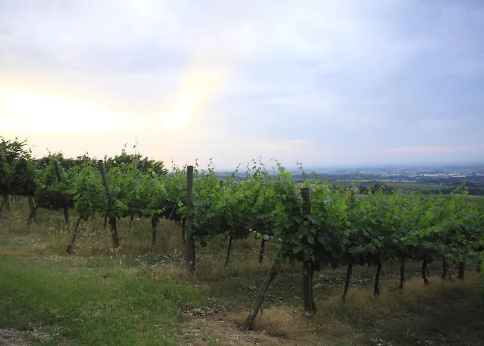 Gaggioli Borgo Delle Vigne