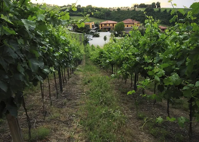 Farma Gaggioli Borgo Delle Vigne