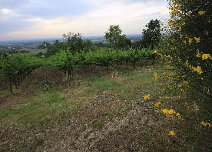 Farma Gaggioli Borgo Delle Vigne Zola Predosa