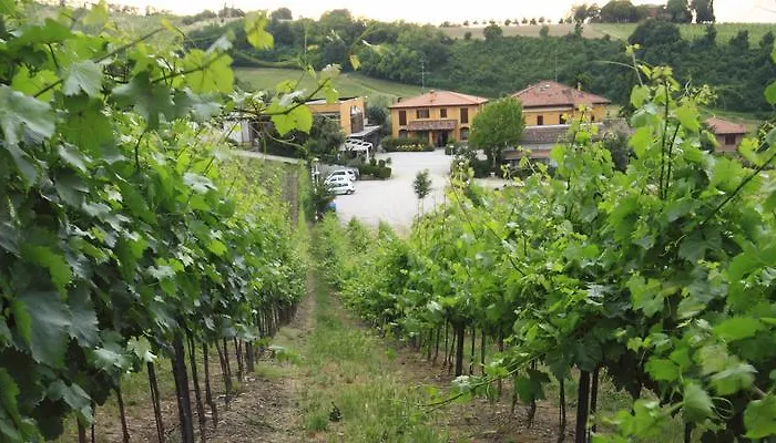 Farma Gaggioli Borgo Delle Vigne Zola Predosa