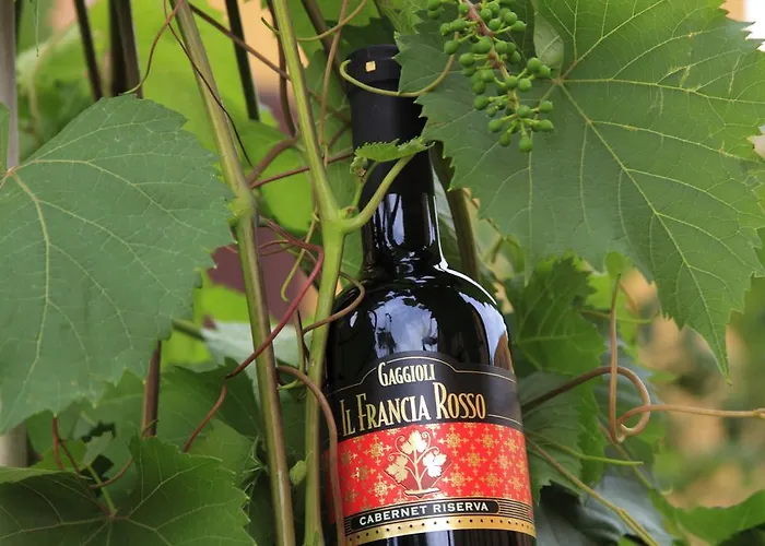 Gaggioli Borgo Delle Vigne * Zola Predosa