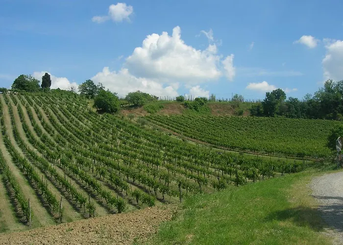 Farma Gaggioli Borgo Delle Vigne *